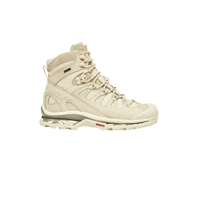 Quest 3 4D GORE-TEX 'Turtledove' Salomon Salomon