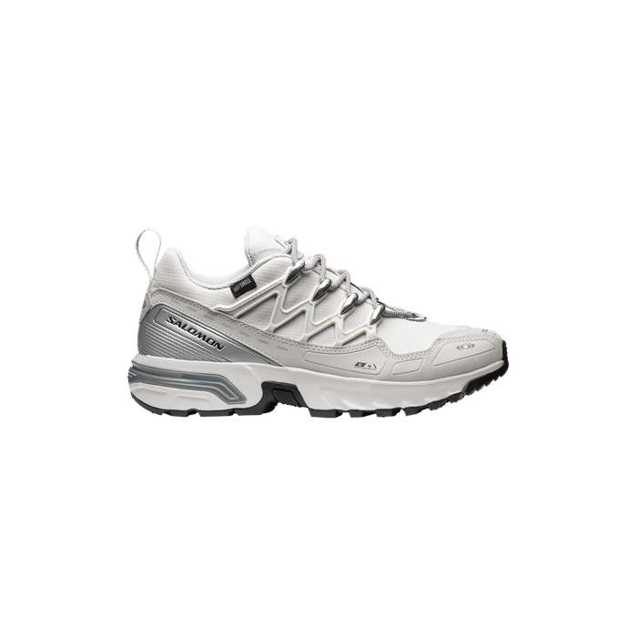 ACS+ OG CSWP 'Lunar Rock Silver Metallic' Salomon Salomon