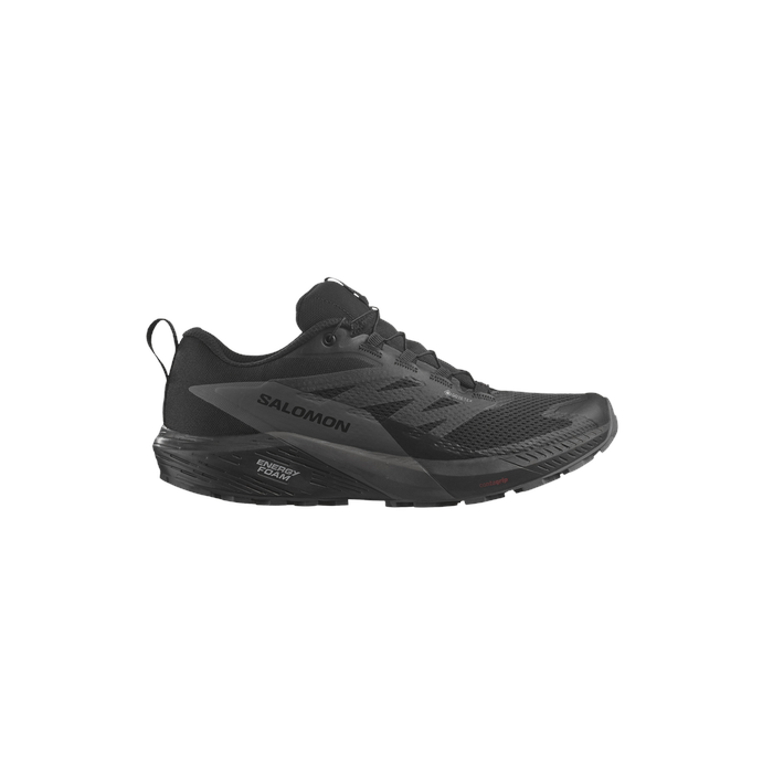 Sense Ride 5 GORE-TEX 'Black Magnet' Salomon Salomon