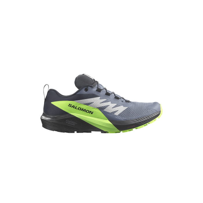 Sense Ride 5 GORE-TEX 'Flint Stone Green Gecko' Salomon Salomon