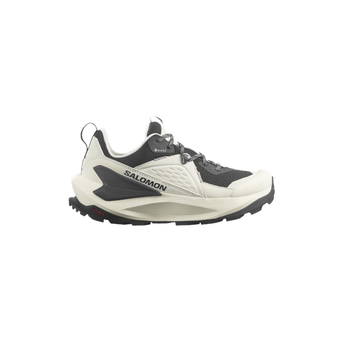 Wmns Elixir GORE-TEX 'Vanilla Ice Metal' Salomon Salomon
