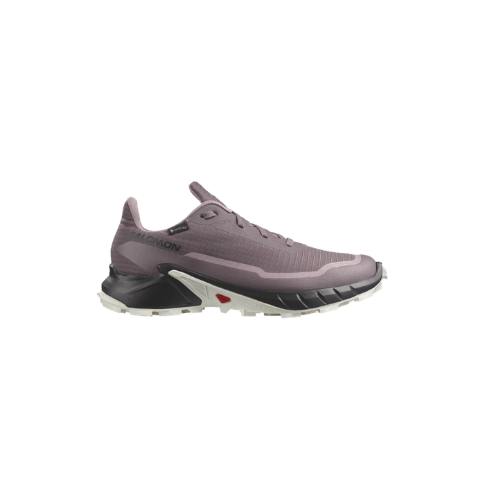 Wmns Alphacross 5 GORE-TEX 'Moonscape' Salomon Salomon