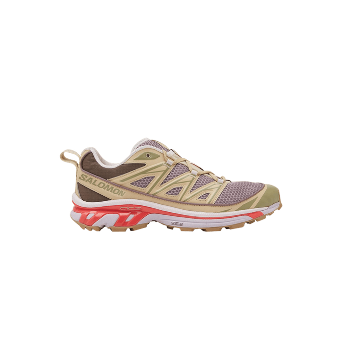 XT-6 Expanse 'Annecy Hotel' size? Exclusive Salomon Salomon