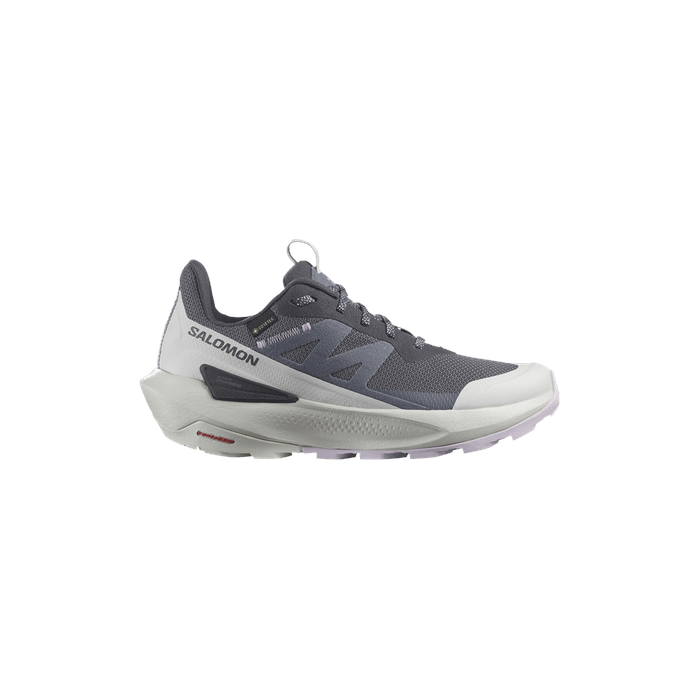 Wmns Elixir Activ GORE-TEX 'India Ink Orchid Petal' Salomon Salomon