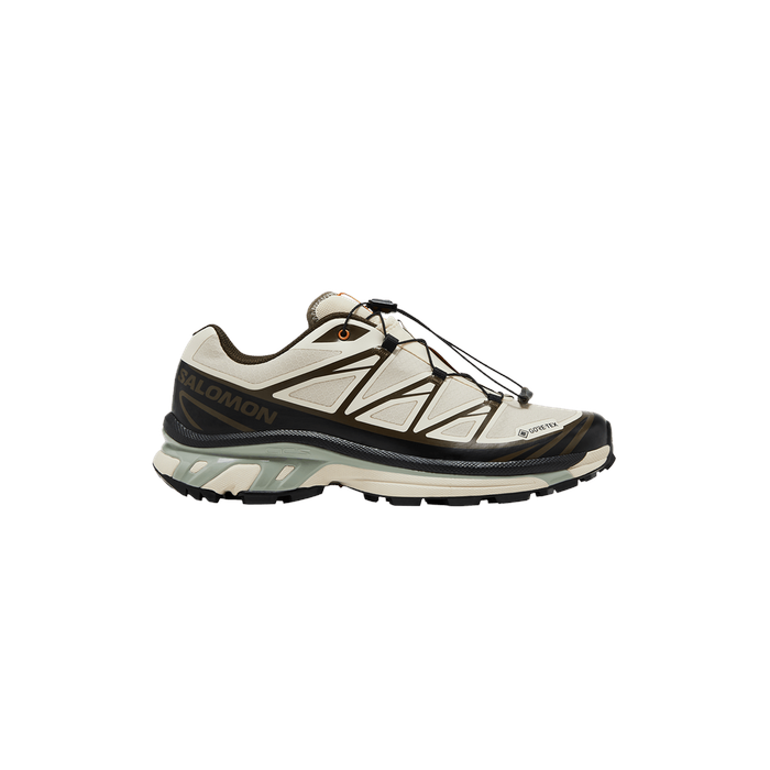 Sneakersnstuff x XT-6 GORE-TEX 'Almond Milk Seagrass' Salomon Salomon