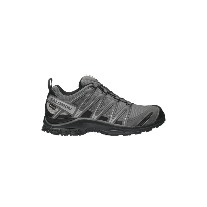 XA Pro 3D GORE-TEX 'Pewter Silver Cloud' Salomon Salomon