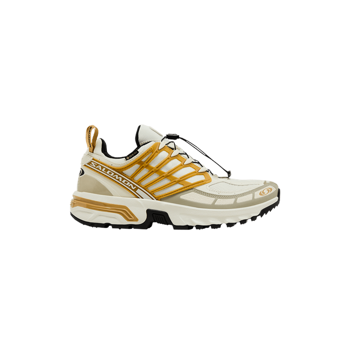 ACS Pro GORE-TEX 'Icicle Antelope' Salomon Salomon