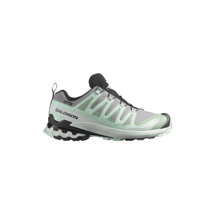 Wmns XA Pro 3D V9 GORE-TEX 'Quiet Shade' Salomon Salomon