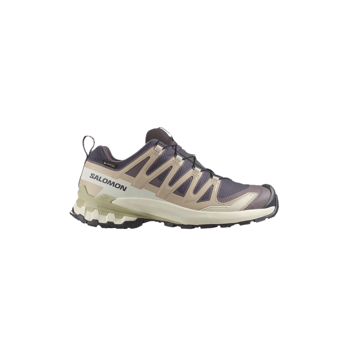 Wmns XA Pro 3D V9 GORE-TEX 'Nine Iron Alfalfa' Salomon Salomon