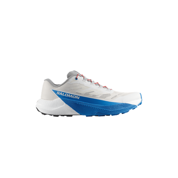 Pulsar 'Lunar Rock French Blue' Salomon Salomon
