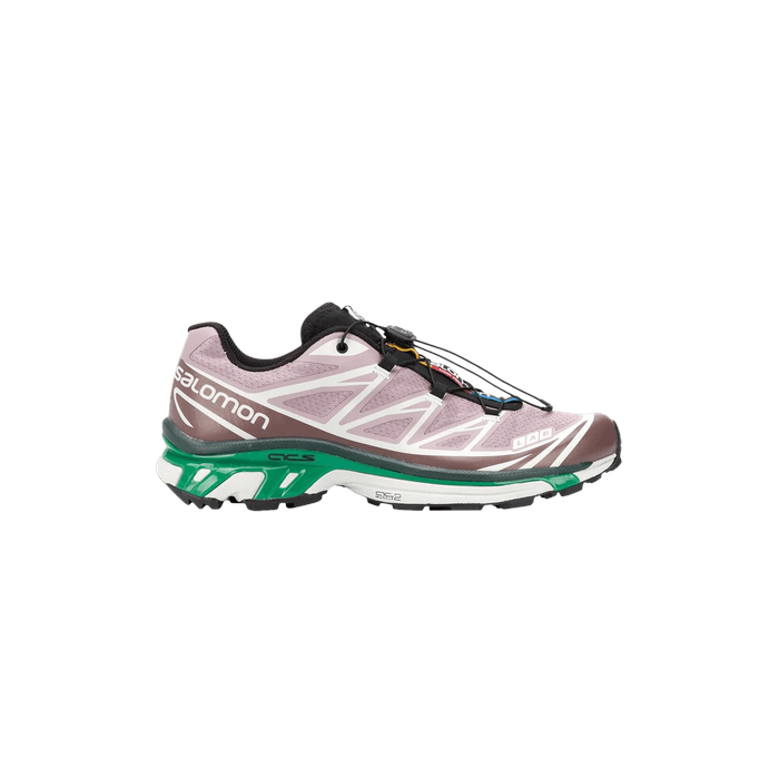 XT-6 Advanced 'Quail' Salomon Salomon