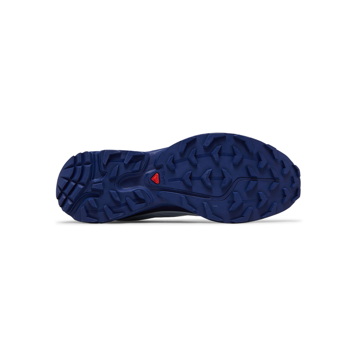 XT-6 GORE-TEX 'Heather Blue Print' Salomon Salomon